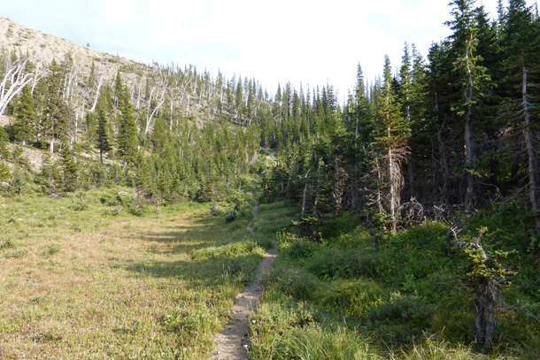 Trilobite Ridge Trail 